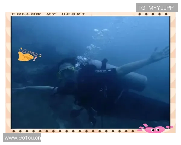 杨磊亲授攀岩技巧与心得分享助你轻松征服高峰